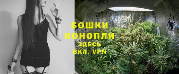 мяу мяу мука Заводоуковск