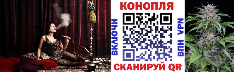 Марихуана White Widow  Петровск-Забайкальский 